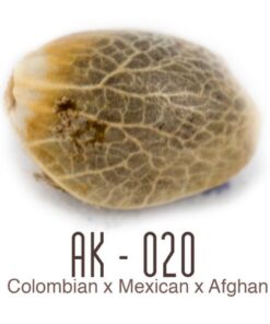 AK-020