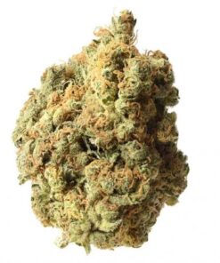 AK-020 Autoflower