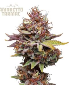 Amaretto Tarmac