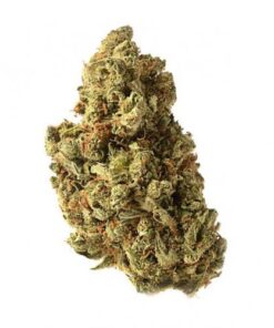 Amazing Haze