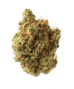 Amnesia Haze - 10-pack