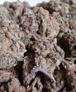 Amnesia Haze