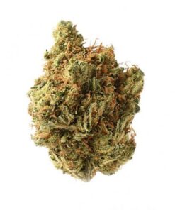 Amnesia Haze