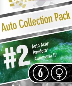 Auto Collection pack #2