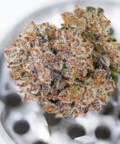 Auto Mimosa Punch