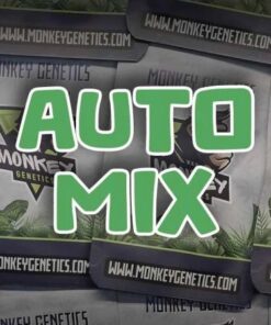 Autoflower Mix - 10-pack