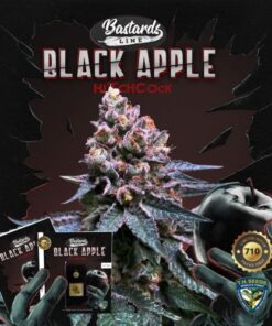Black Apple Hitchcock - 5PACK