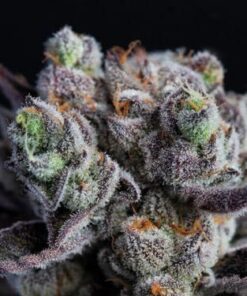 Blackberry Moonrocks