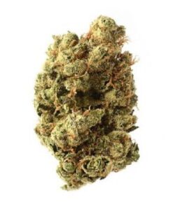 Blue Amnesia Haze - 5-pack