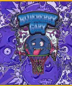 Blueberry Gary - 6-pack