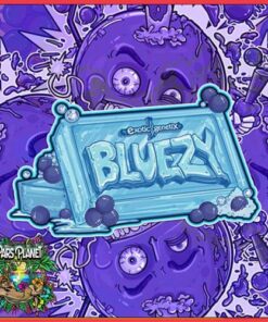 Bluezy - 6-pack
