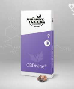 CBDivine
