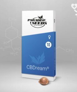 CBDream