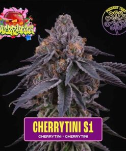 Cherry Tini S1 - 6-pack
