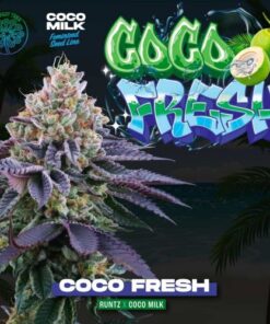 Coco Fresh - 6-pack