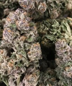 Dark Ghost Train Haze - 6PACK