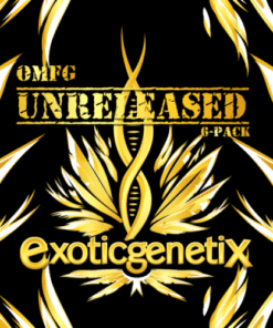 Dough Nutty - 6-pack