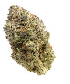 Fatkid's Cake - 5-pack