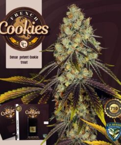 French Cookies - 5PACK