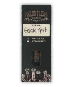 Gelato Split - 9-pack