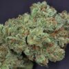 Ghost Train Haze #1 - 12PACK