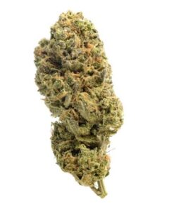 Grapefruit Superstar - 5-pack