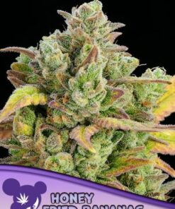 Honey Fried Bananas - 5-pack