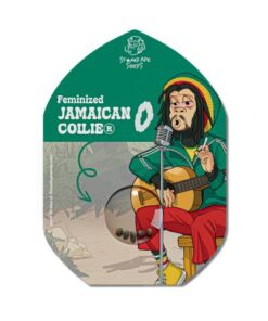 Jamaican Collie - 5-pack