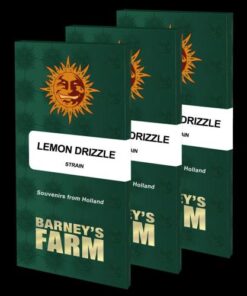 Lemon Drizzle - 5-pack