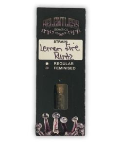 Lemon Fire Runtz - 7-pack