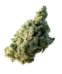 Lemon Ice - 5-pack