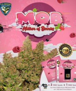 M.O.B - 5PACK