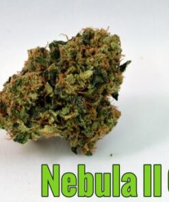 Nebula II CBD
