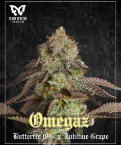 Omegaz - 12-pack