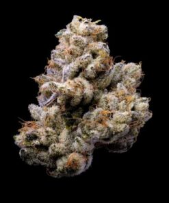 Orange Cake - Lemonnade - 6-pack