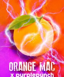 Orange MAC x Purple Punch - 5-pack