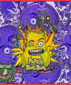 Papaya Bang Bang - 6-pack