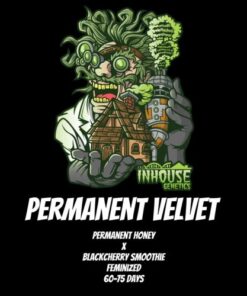 Permanent Velvet - 6-pack