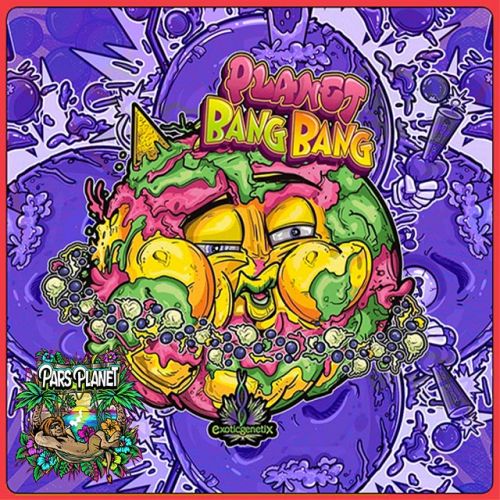 Planet Bang Bang - 6-pack