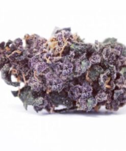 Purple Wreck - 5PACK