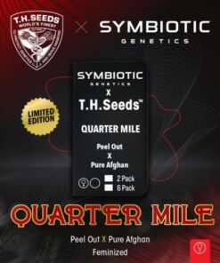 Quarter Mile - 2-pack