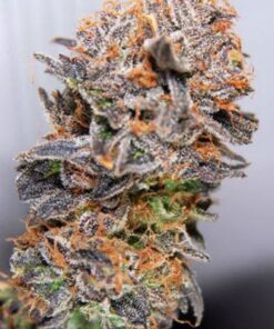 Querkle