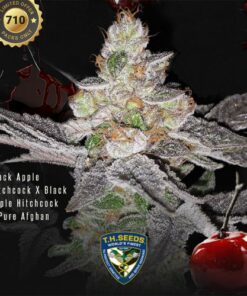 Red Candy Apple - 2-pack (Limited Edition)