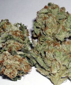 Rug Burn OG - 12PACK