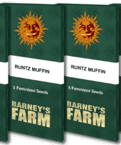 Runtz Muffin - 5-pack