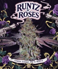 Runtz N' Roses - 6-pack