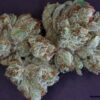 Scotts OG - 12PACK