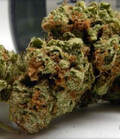 SFV OG Kush - 6PACK