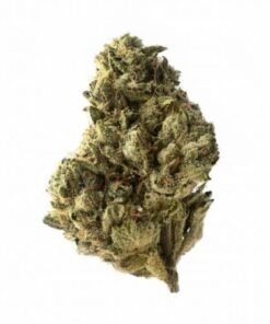 Strawberry Glue - 5PACK