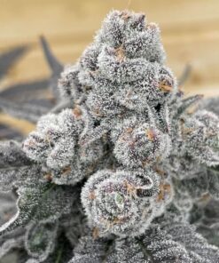 Strawberry Gummies - 7-pack